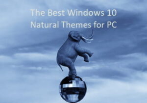 Best Windows 10 Natural Themes