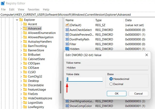Показать скрытые файлы и папки в Windows 11 - настройка реестра