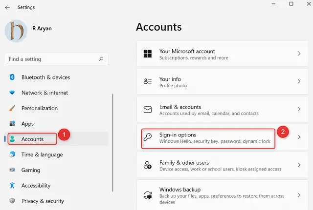 Sign-in Options on Windows 11