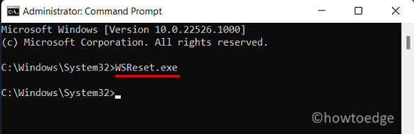 WSReset on Windows 11 - Store Error 0xD000000D