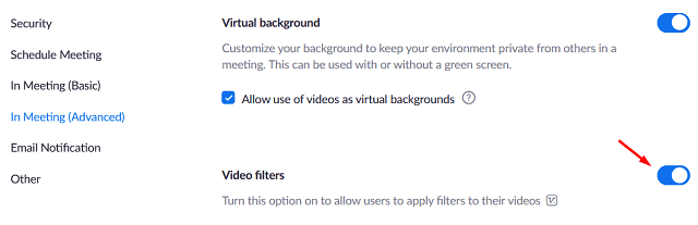 Видеофильтры Zoom не отображаются — включите видеофильтры