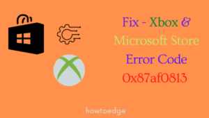 Error Code 0x87af0813
