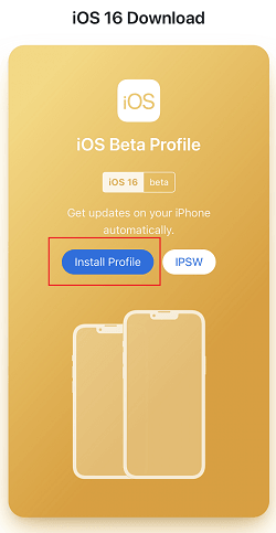 install beta profile for iPhone