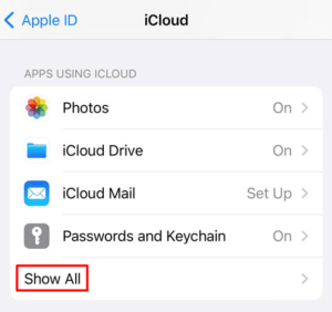 Click Show All on your iCloud Profile
