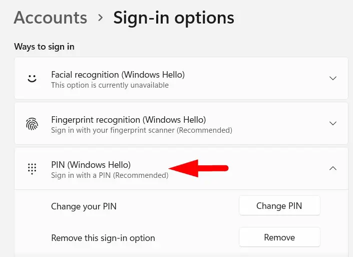 PIN (Windows Hello)