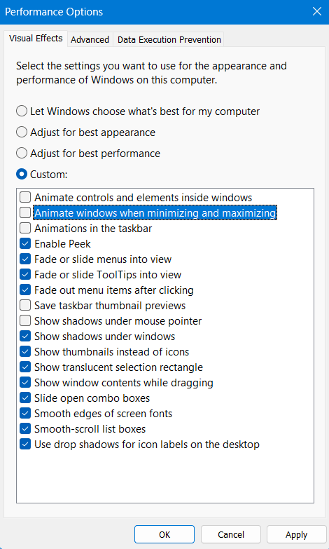 Пользовательский Измените настройки в разделе «Параметры производительности».