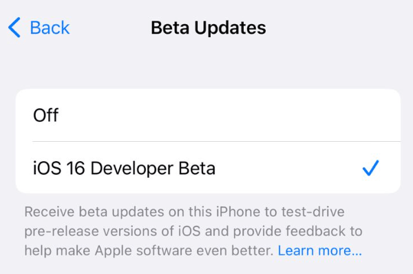 Enable iOS 16 Developer beta